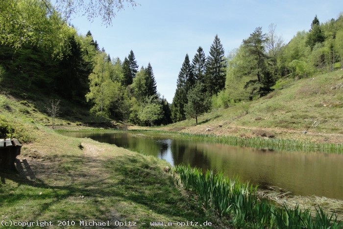 Wiesental im Südschwarzwald